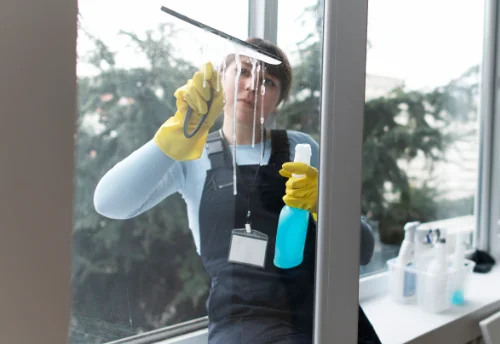 Nettoyage de vitres intérieures et extérieures à Veyras